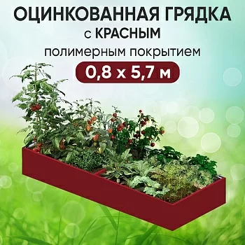 Грядка красная (0,8 х 5,7)